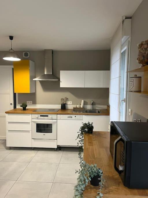 La Maison Du Bonheur 70 M² * Saint-Amand-les-Eaux