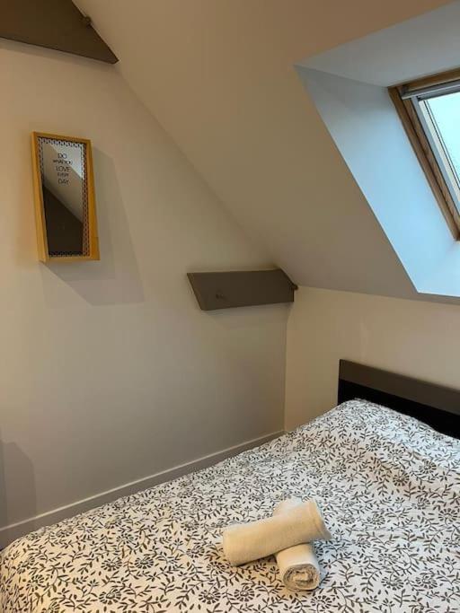 La Maison Du Bonheur 70 M² Saint-Amand-les-Eaux